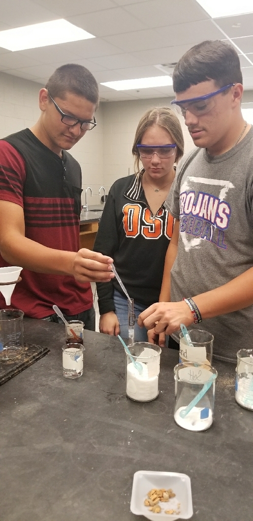 checking for sodium using silver nitrate.